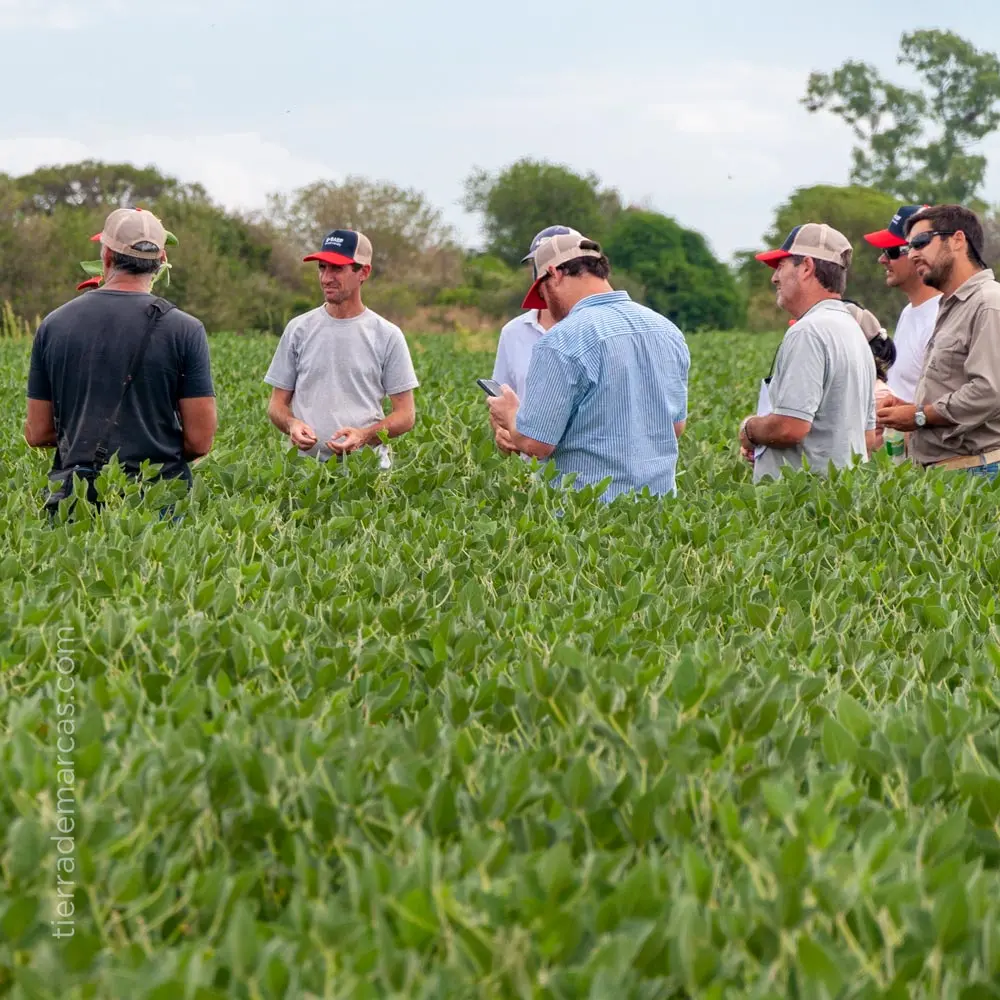 Jornada de Actualización